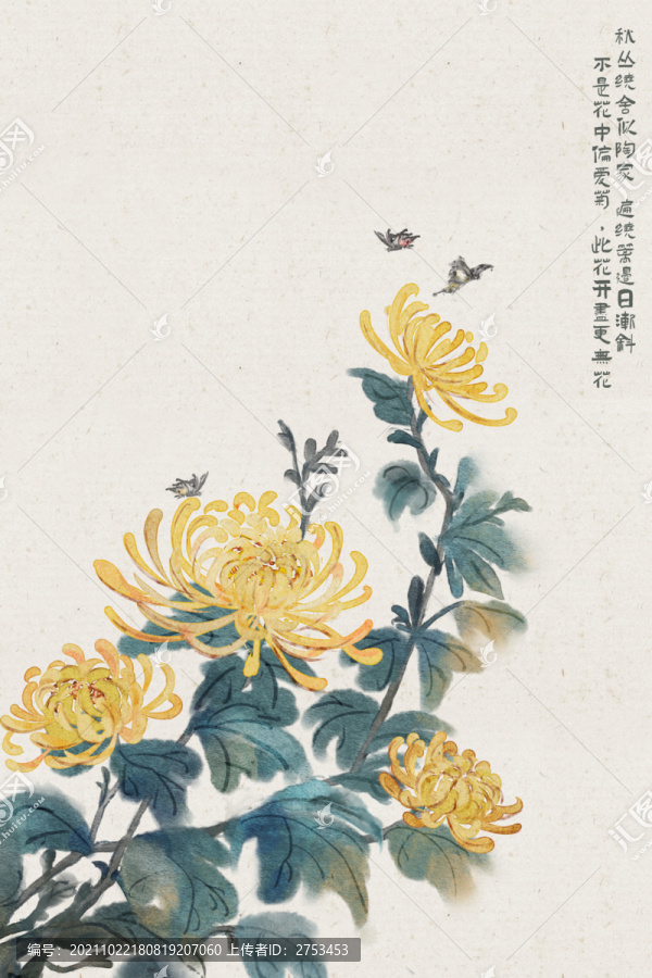 菊花
