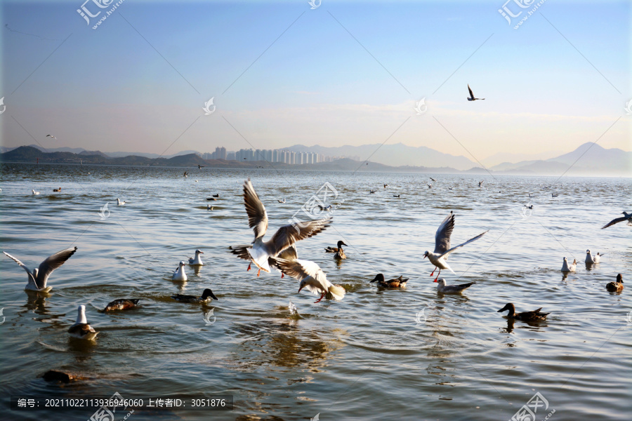 海边风景