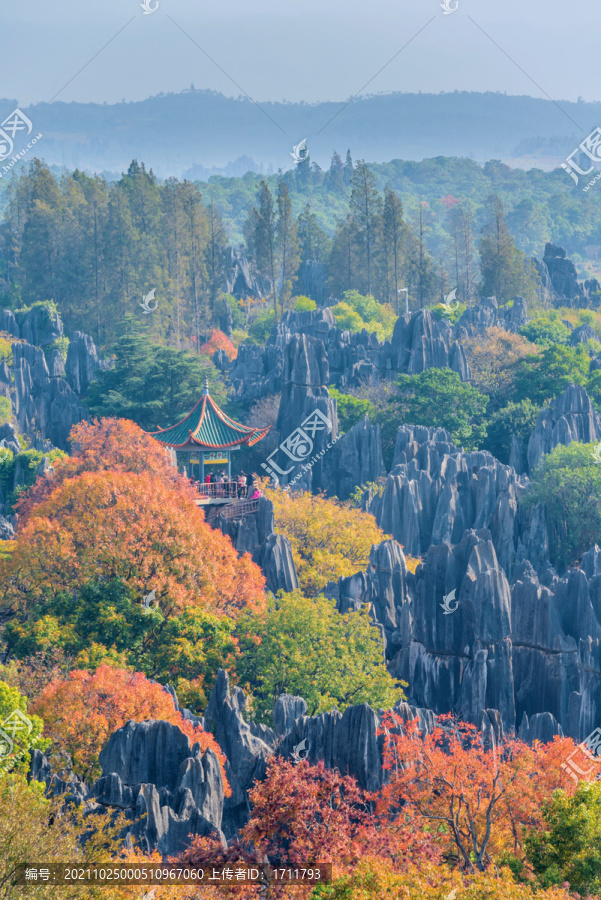 中国云南昆明石林风景区