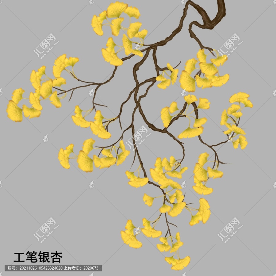 手繪銀杏