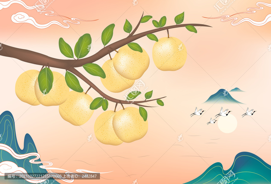 白梨樹枝白梨包裝