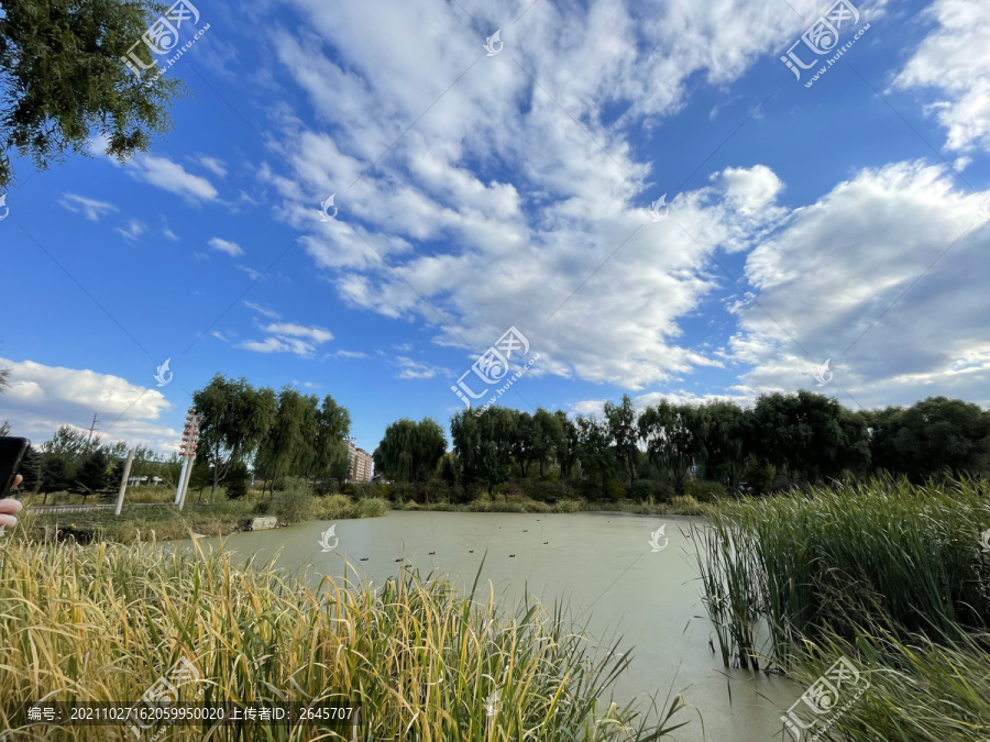 湖泊风景