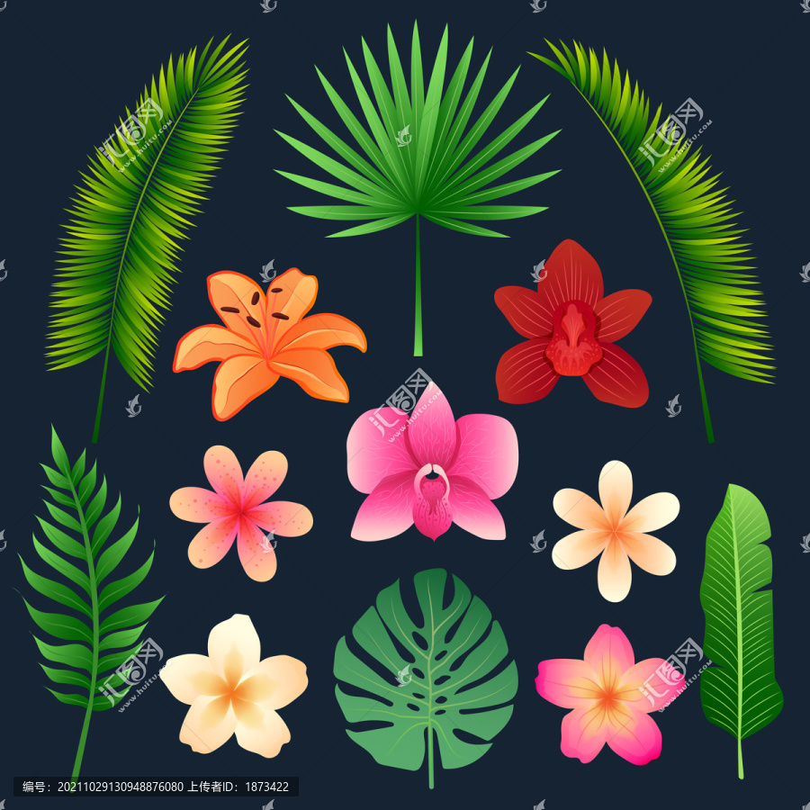 植物花朵创意设计插图