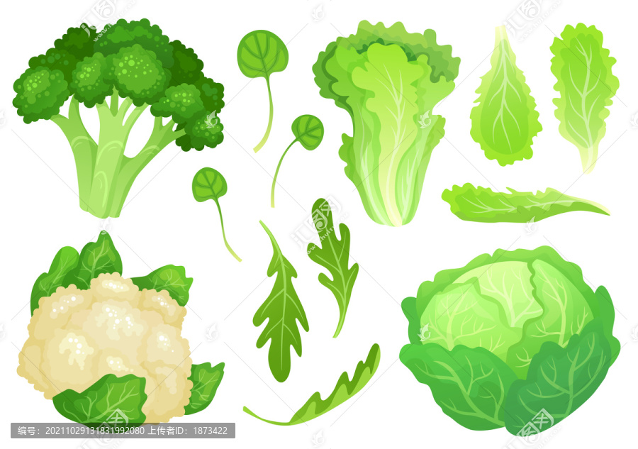 各式鲜绿蔬菜图标