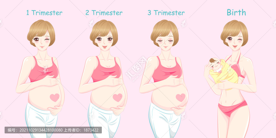 美麗媽媽孕期紀錄,寶寶誕生插圖