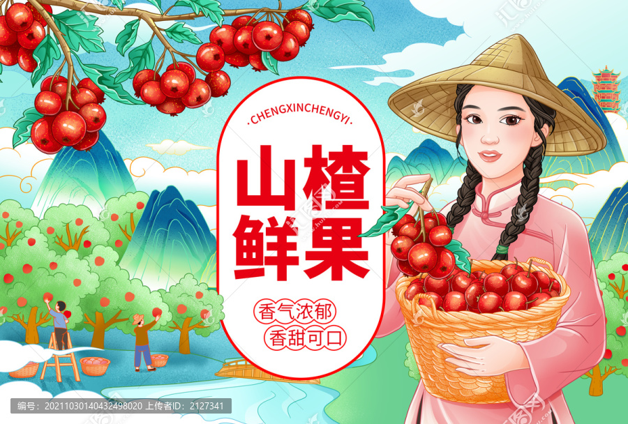 農(nóng)家女孩摘山楂插畫