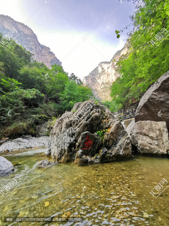 山间寿石