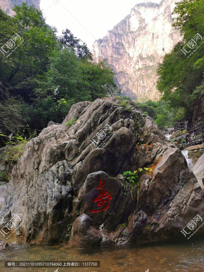 山间寿石