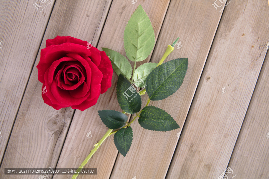 一支被拿掉花朵的红玫瑰