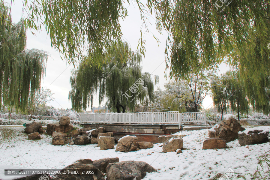 立冬初雪雪景公園