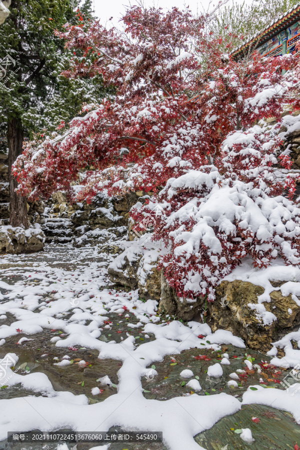 北京雪景