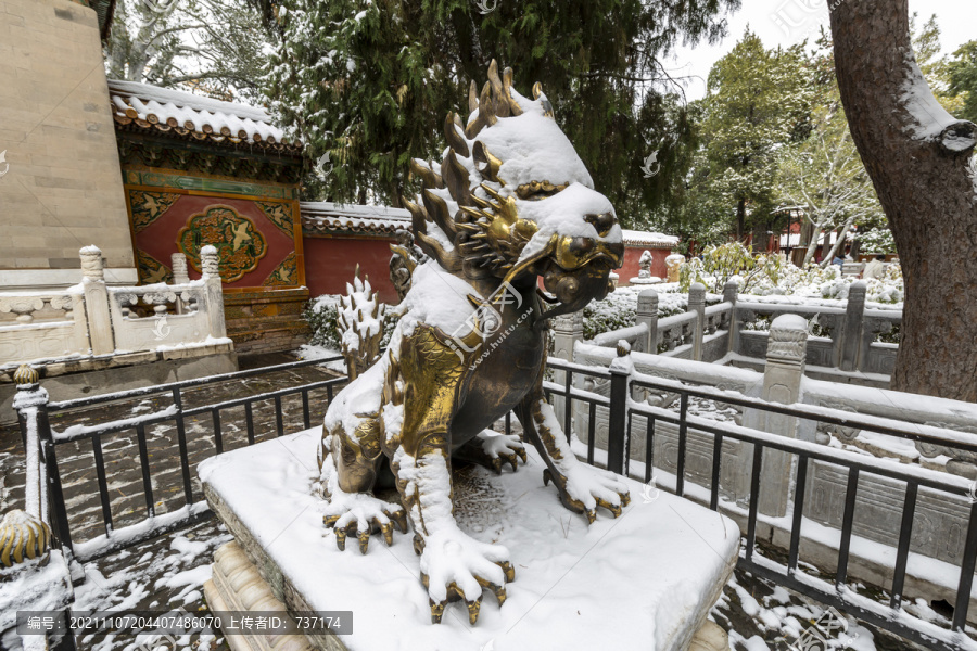 雪中的北京故宫御花园獬豸