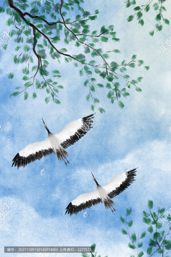 仰望天空飛過(guò)的鳥(niǎo)