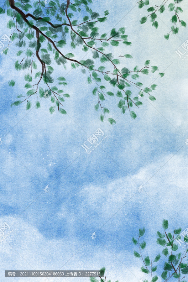 仰望天空