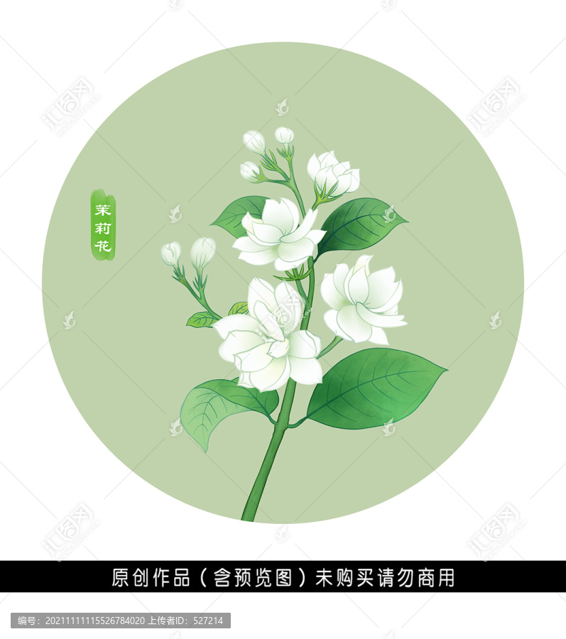 茉莉花