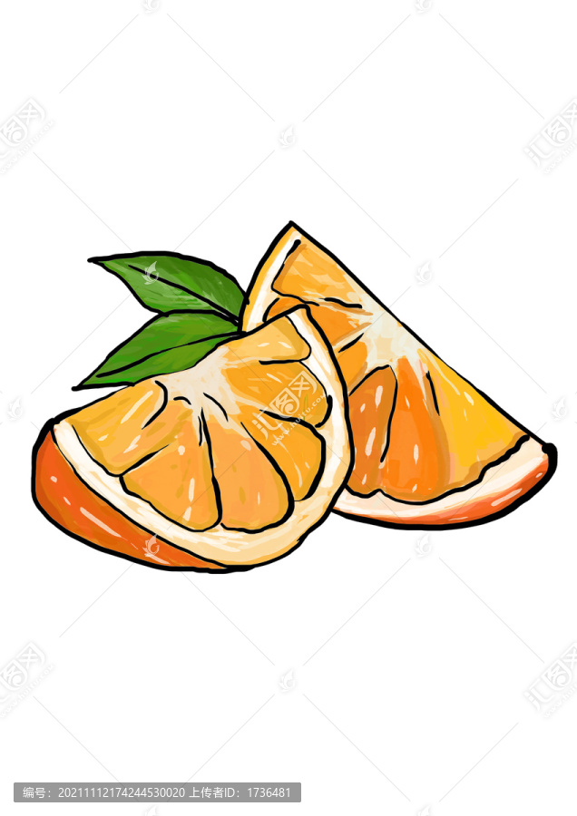 橙子桔子插畫