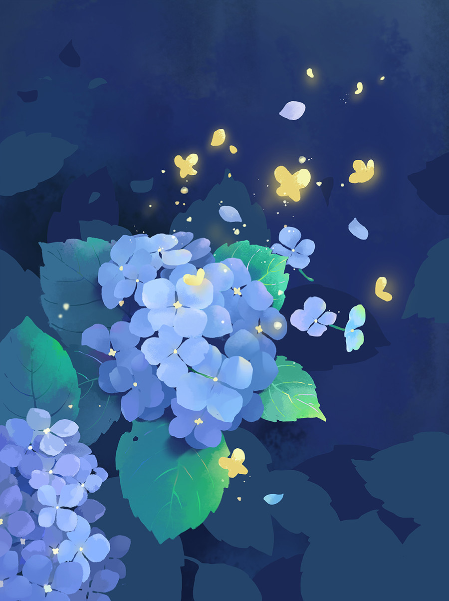 繡球花無盡夏