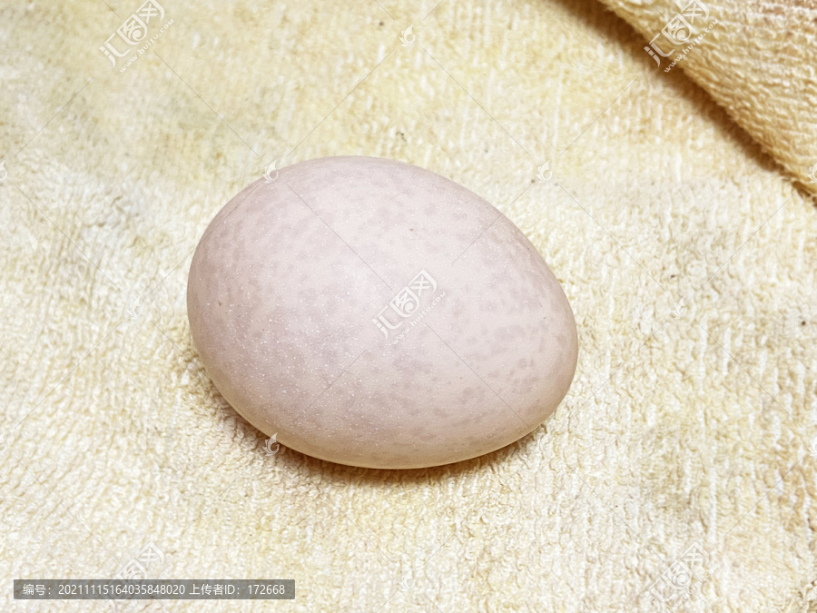 有斑点的鸡蛋