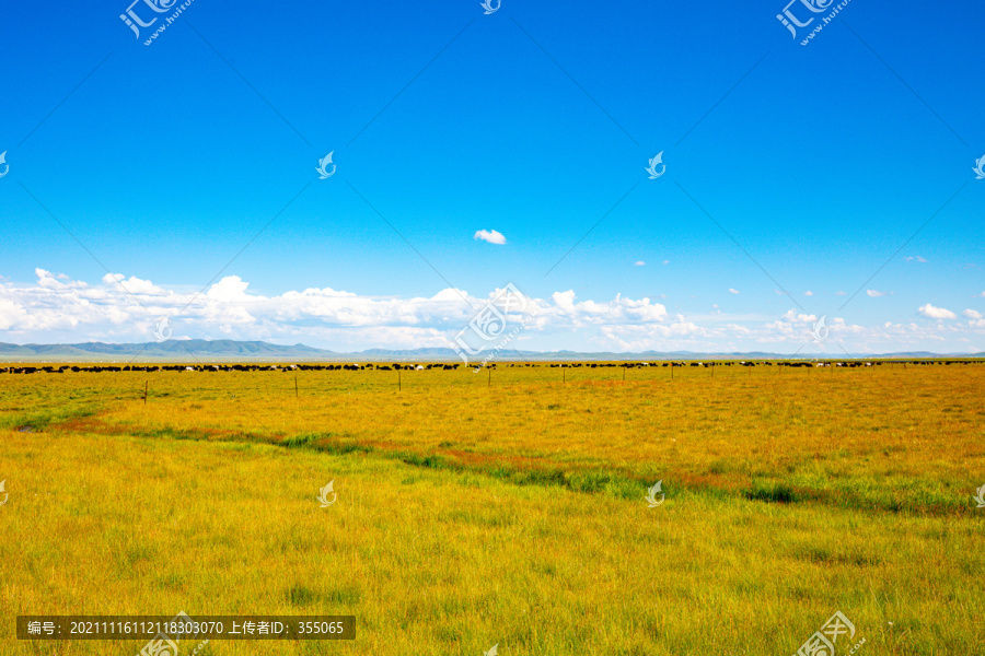 桑科草原