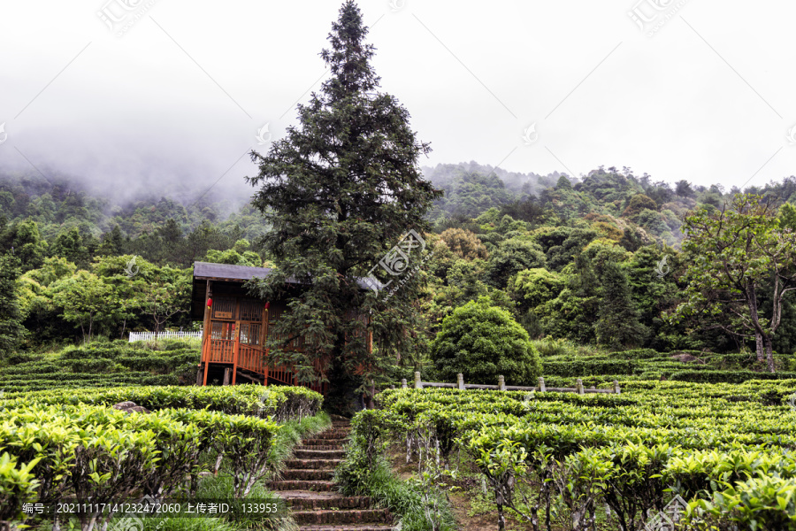 广西贺州姑婆山