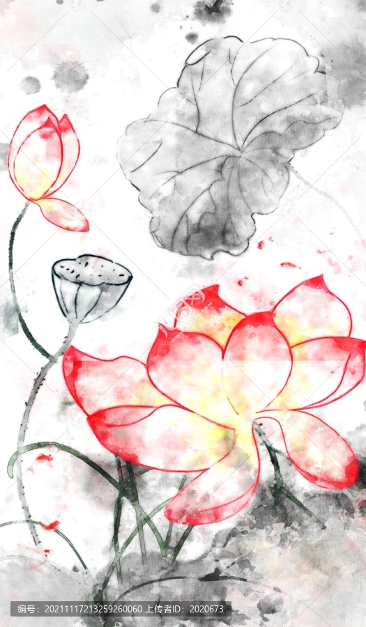 水彩荷花