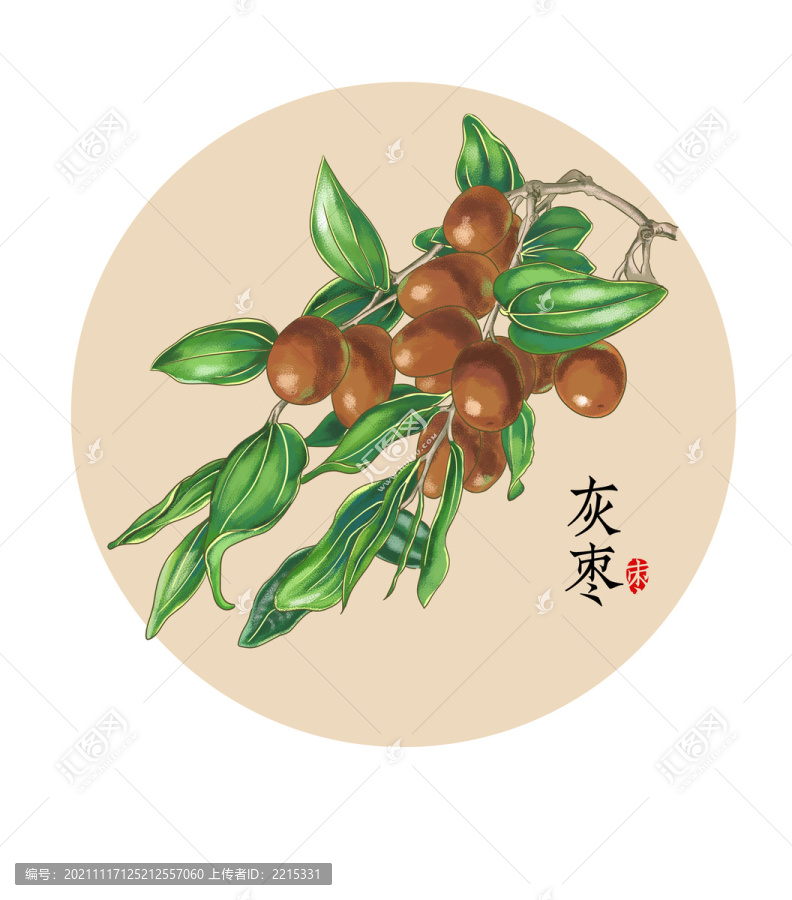 大棗插畫