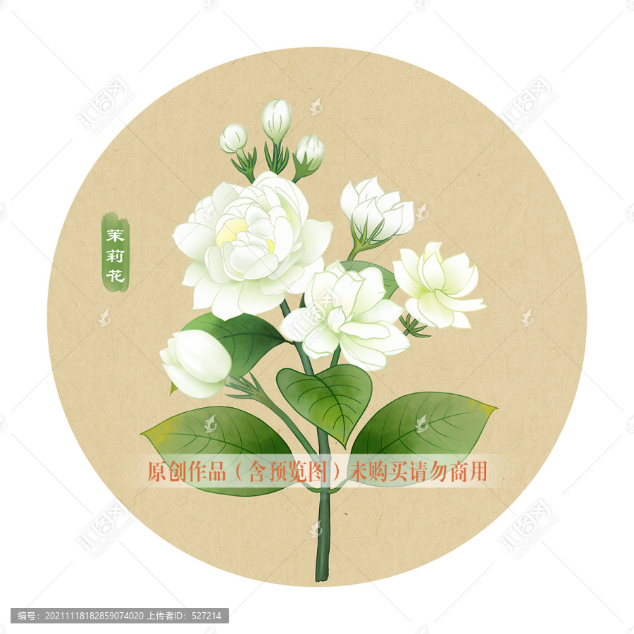 茉莉花