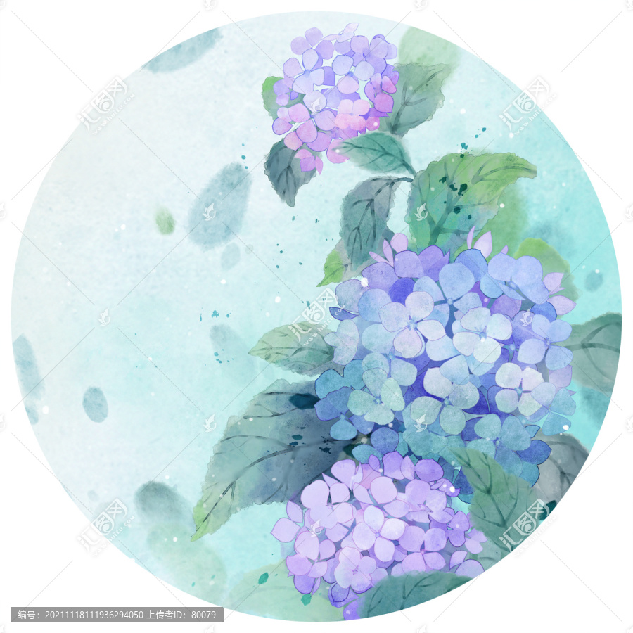 繡球花