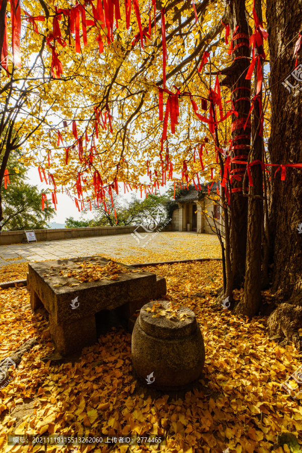 崂山明霞洞秋色