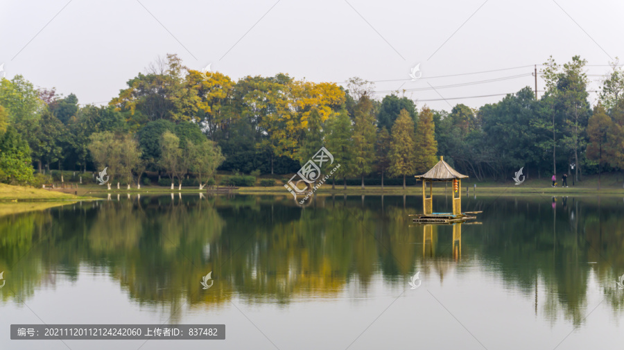 菊花展地