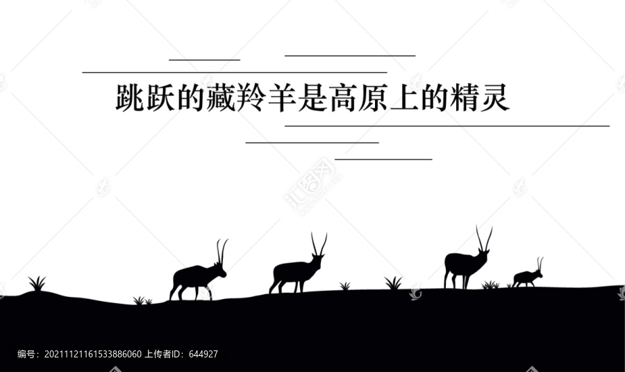 藏羚羊剪影