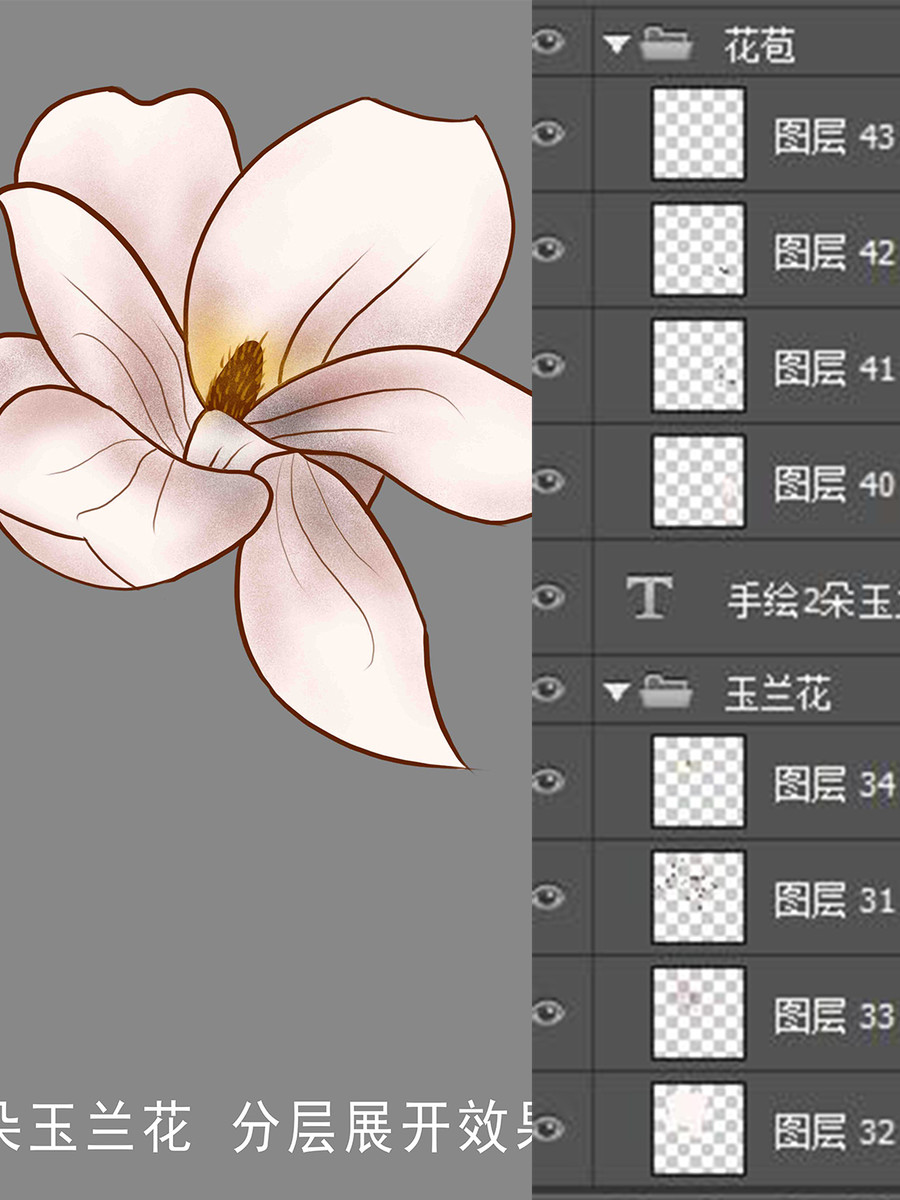 工筆玉蘭花