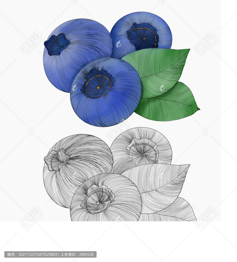 藍莓繪畫