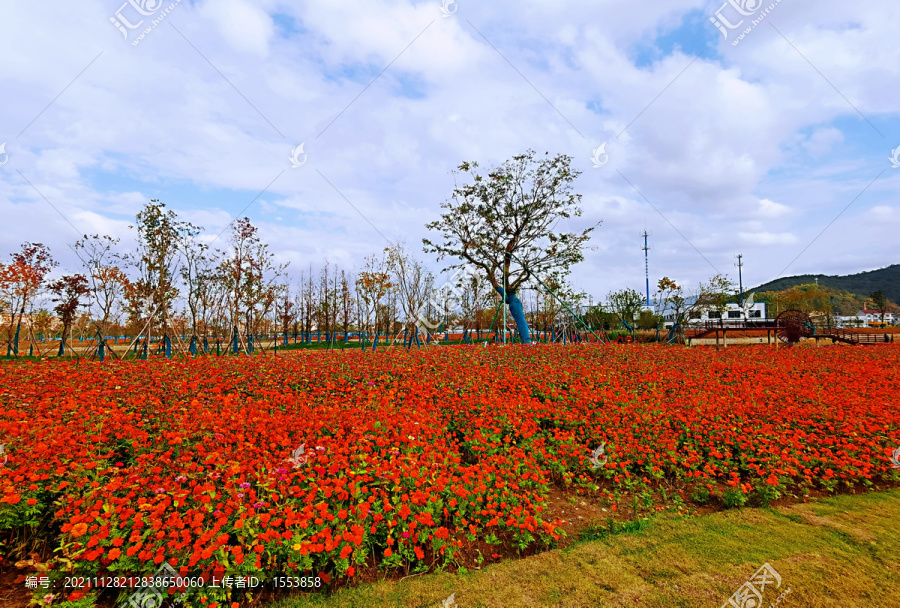 奉化湿地公园