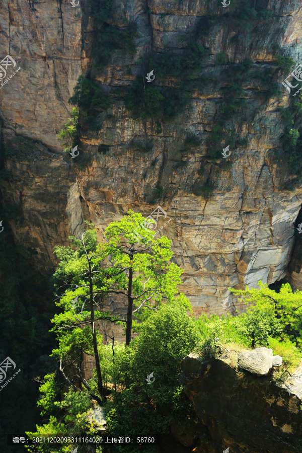 张家界砂岩峰林地质景观