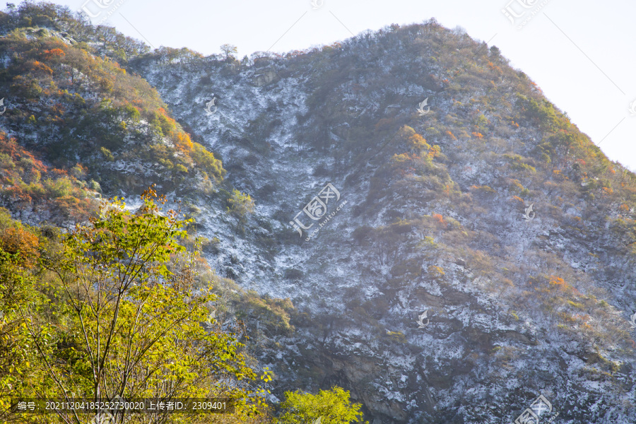 秦岭山