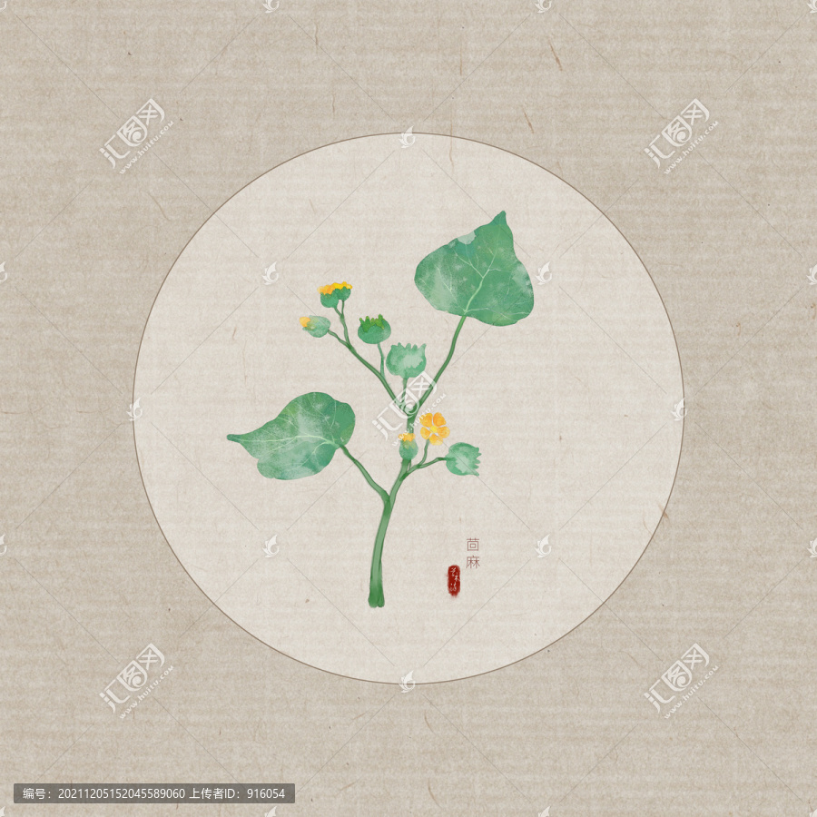 茴麻