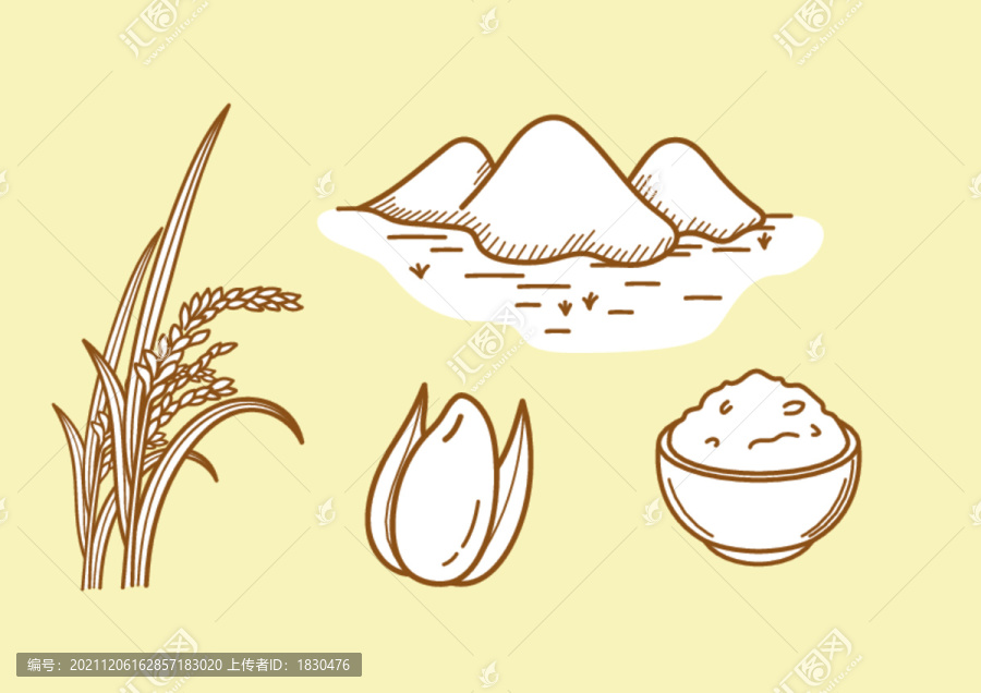 稻米油大米包裝插畫