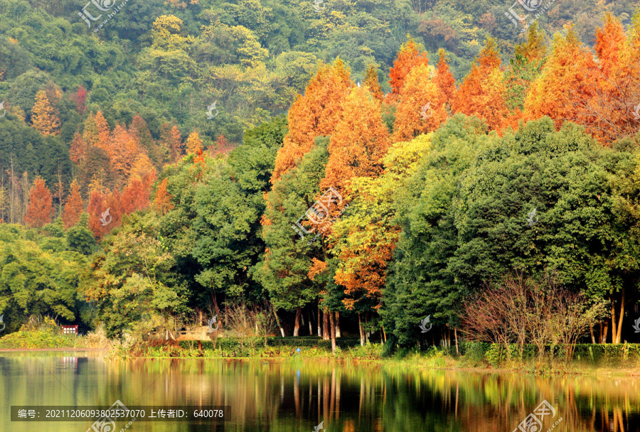 照母山森林公园