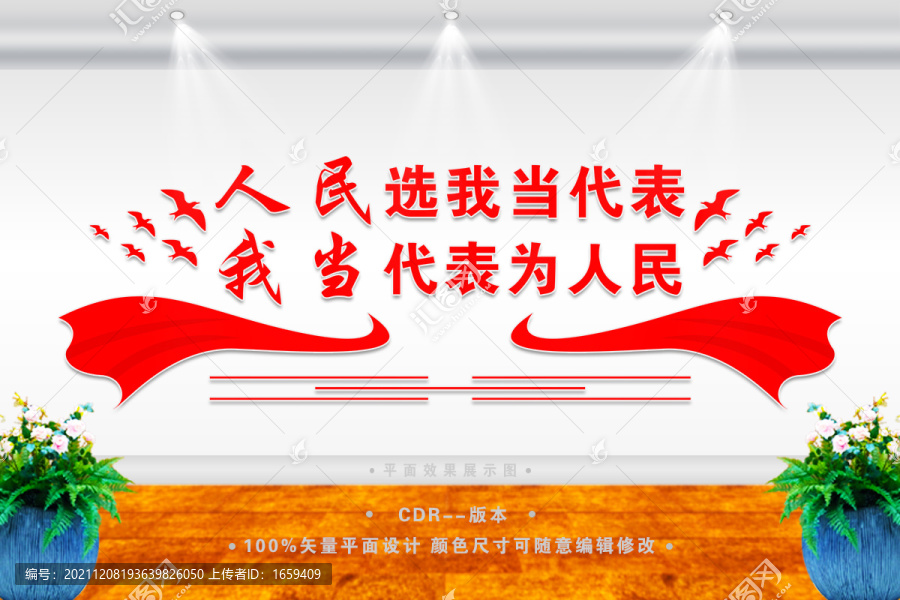 人民選我當(dāng)代表