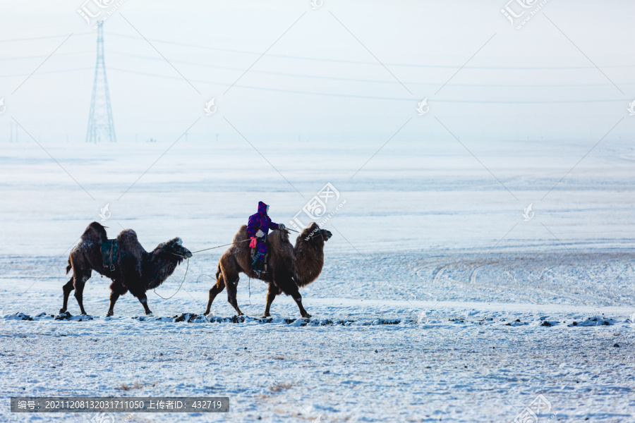 冬季草原蒙古族骑骆驼