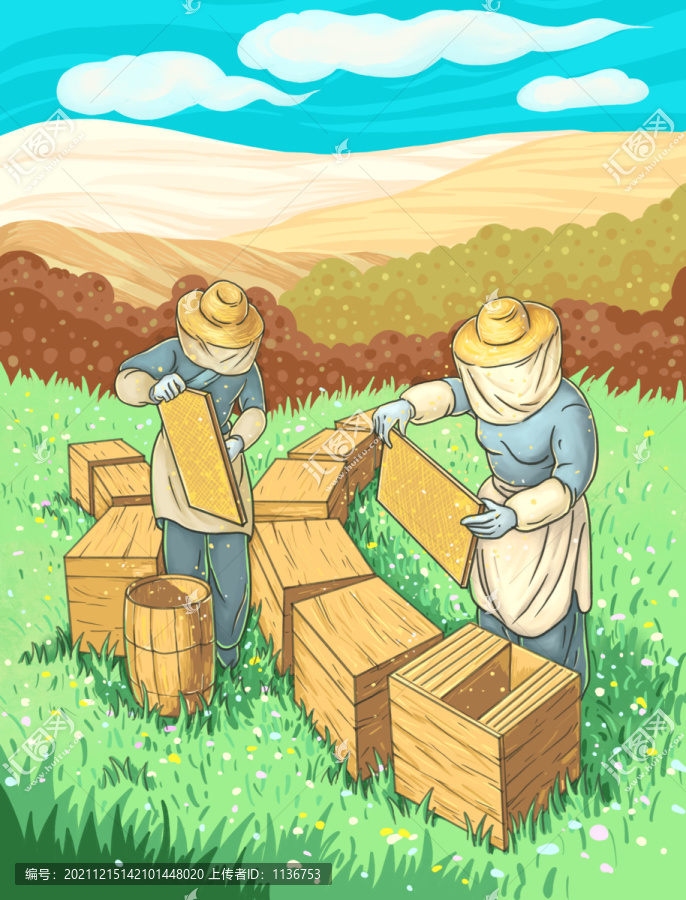 蜂農(nóng)取蜂蜜插畫