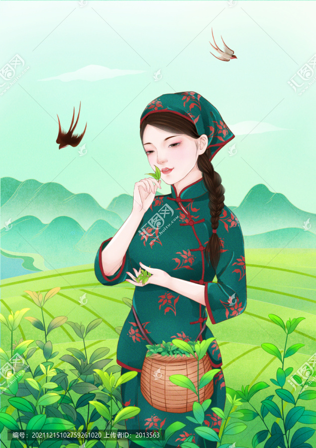 手繪采茶女