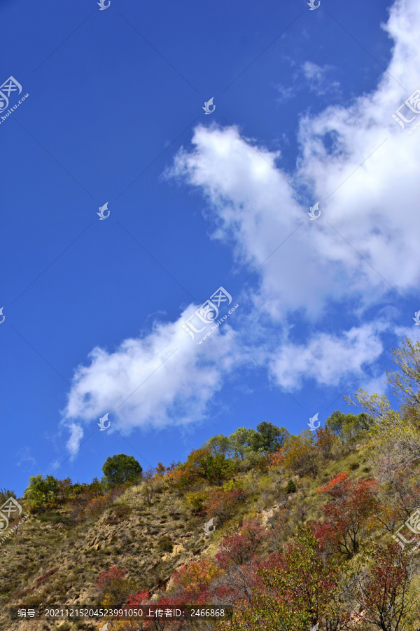 岷山秋色