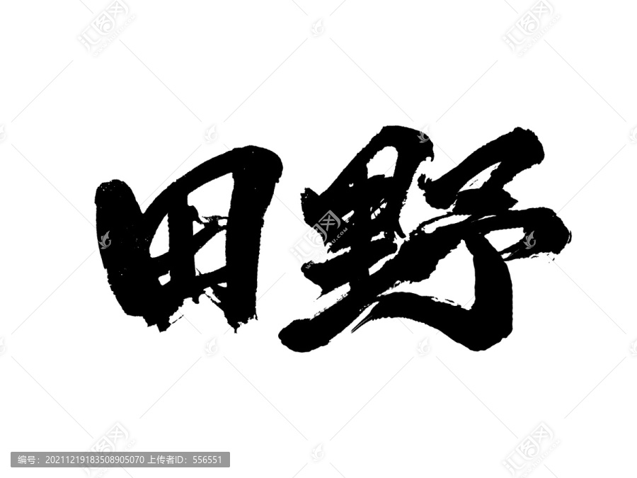 田野