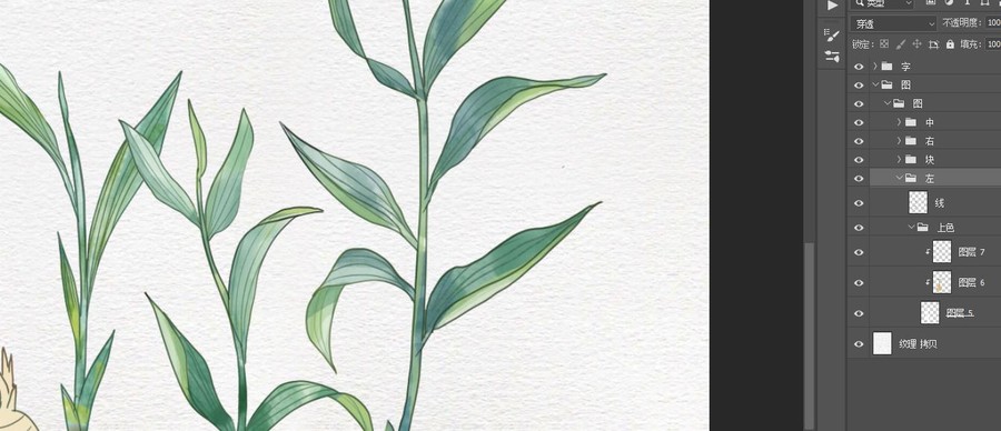 生姜