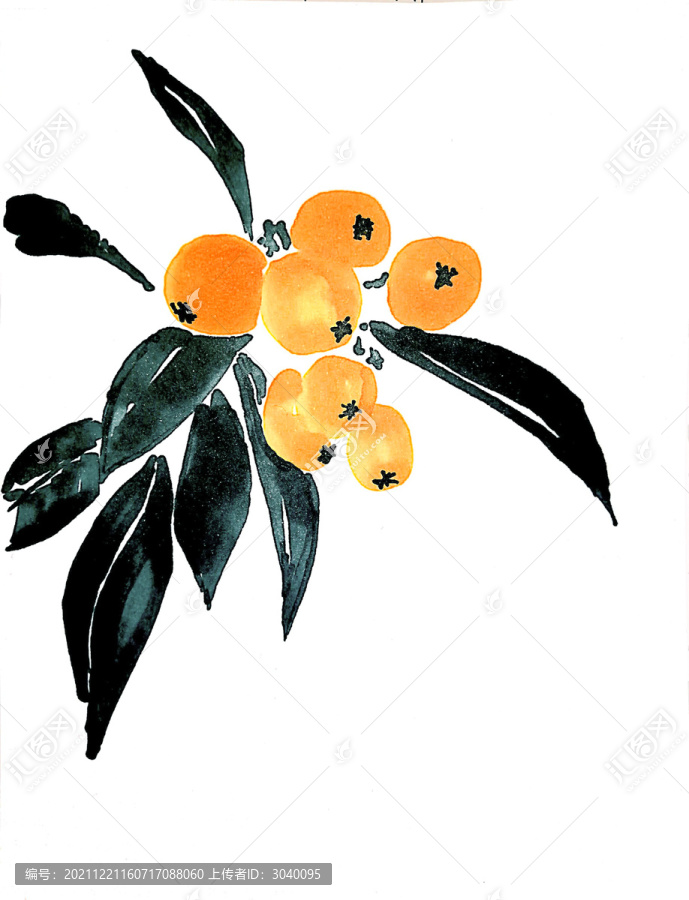 枇杷