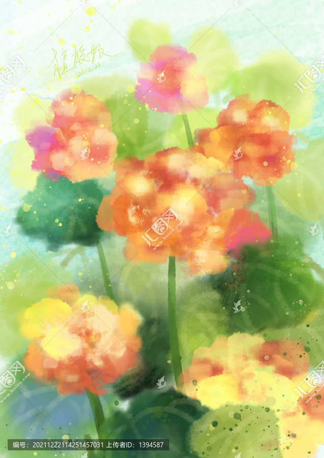 朦朧橙色天竺葵