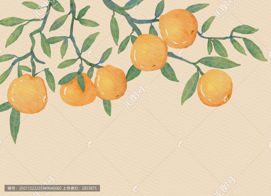 原創(chuàng)水彩橙子插畫