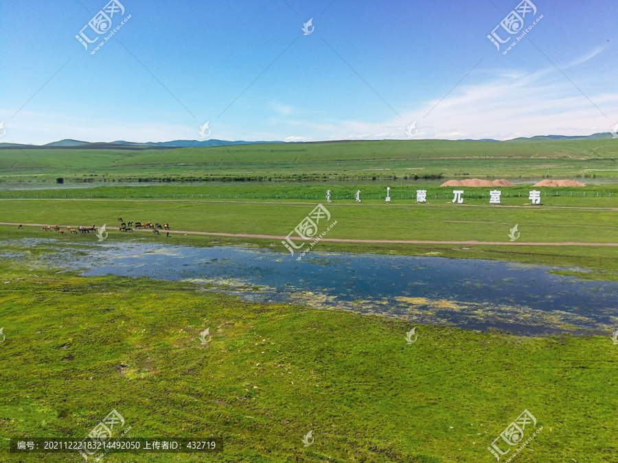 夏季草原牧场湿地马群